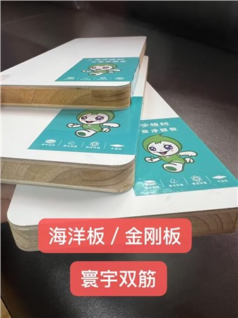 海洋扳